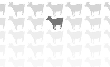 test-intro