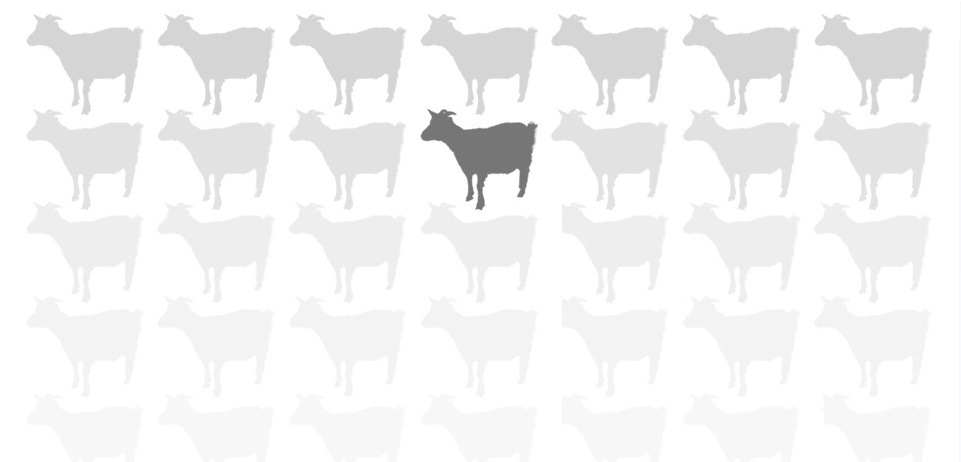test-intro