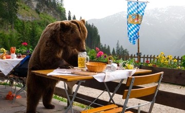 привычки россиян