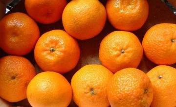 mandarin_5