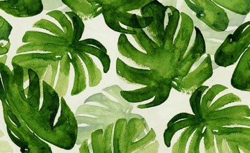 b05cfd1cd103f205443bd69efd3e13b6