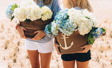 f08a72518c32920cdae53ac91131fedd