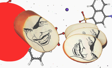 пищеварение и жиры