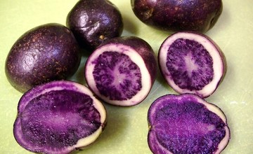 fioletovii_kartofel