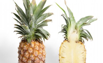 ananas