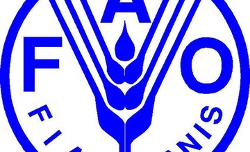 FAO