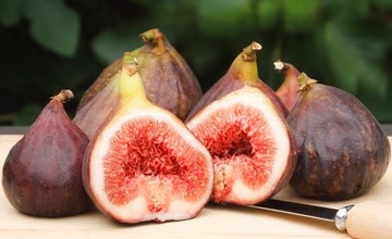 figs