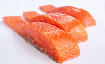 salmon