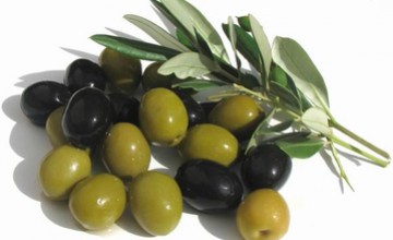 olivki-masliny