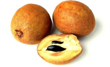 sapodilla
