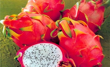 pitaya