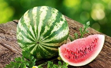 watermelon_season