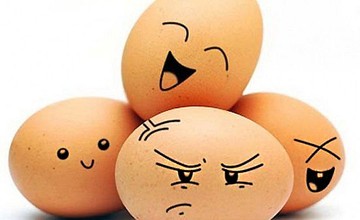 eggs