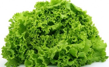 salat