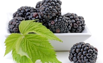 blackberries