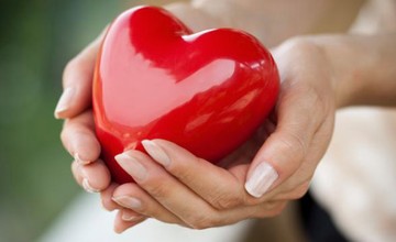 serdce_v_rukah
