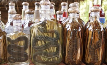 samyie_opasnie_bluda