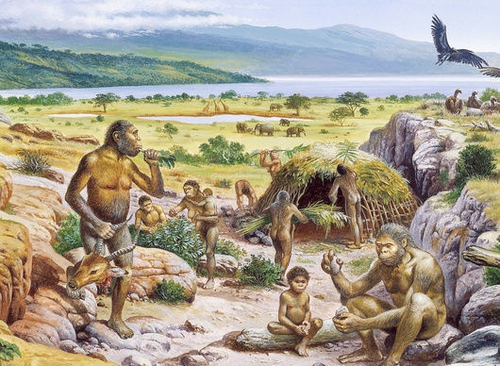 image 46803.thumbnail