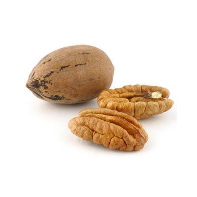 pecan
