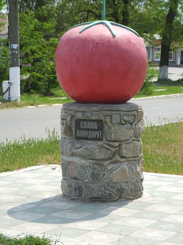 pomidor