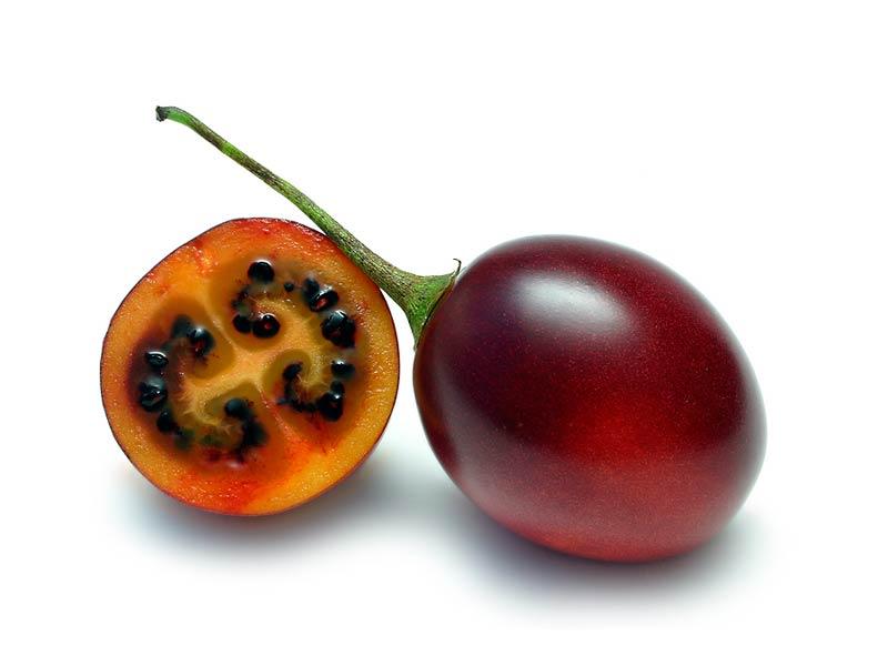 tamarillo