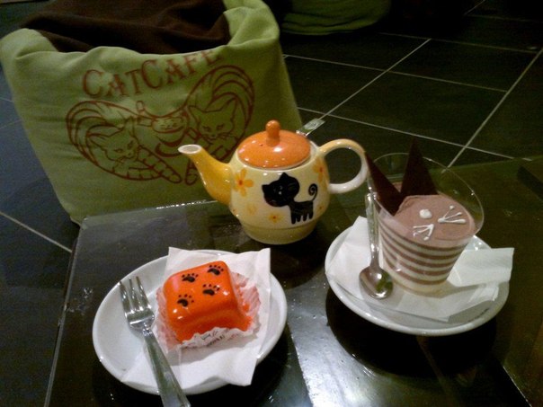catcafe
