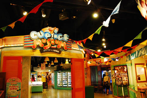 cup-ice-museum