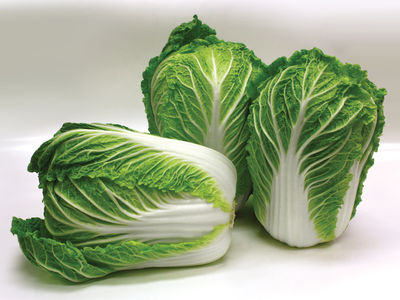 chinese cabbage