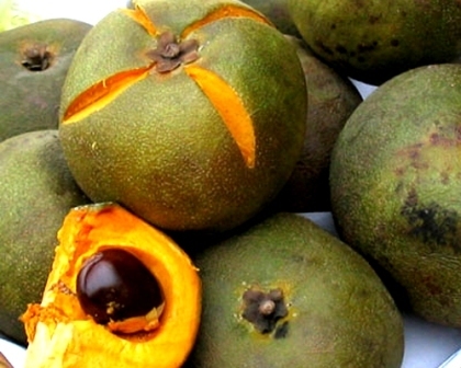 lucuma