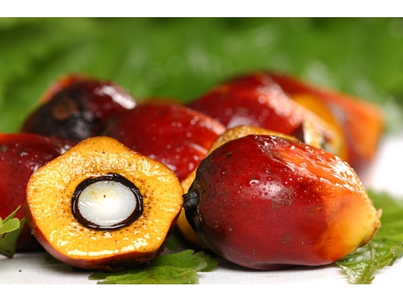 palm oil