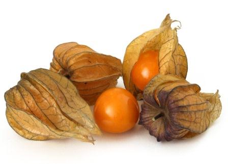 physalis