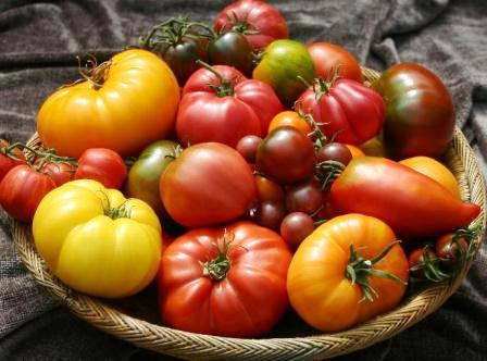 varieties tomatoes