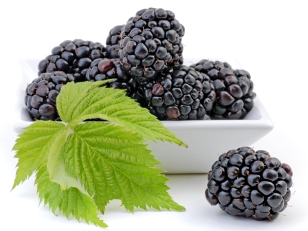 blackberries