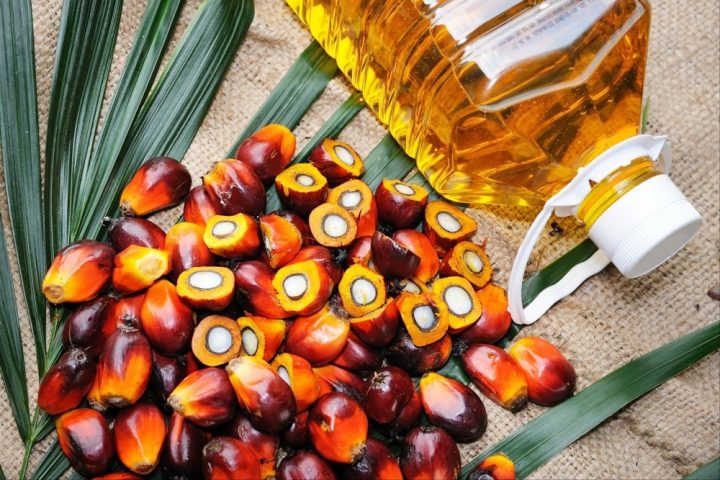 palmoil